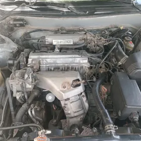 Toyota Camry 1995