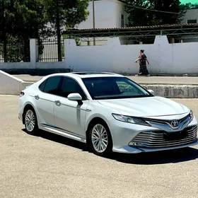 Toyota Camry 2020