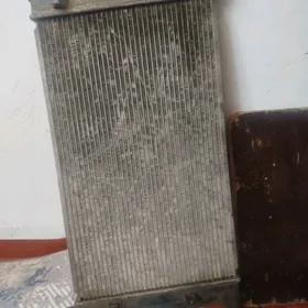 radiatr we başga zapchaşty bar