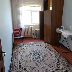 Satlyk jaylar