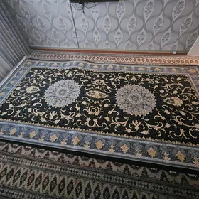 700 citimli Iran halysy