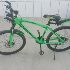 Turkmenistan tigir