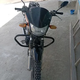 Fekon FK150-8G 2013