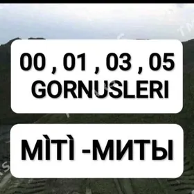 cage gum toyun toprak