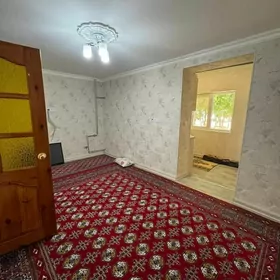 Satlyk 6mkr