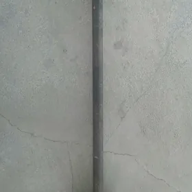 stanga