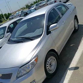 Toyota Corolla 2010