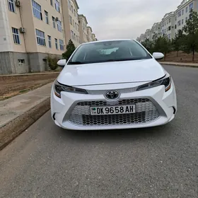 Toyota Corolla 2021