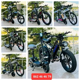 TIGIR ROLIK BASEYKA MATOR