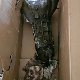 2106 juguli karopka taze