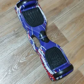 Сигвей
