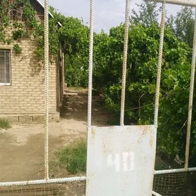 Satlyk daça
