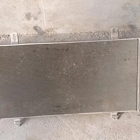 Gylyc Palta Kemri Radiator