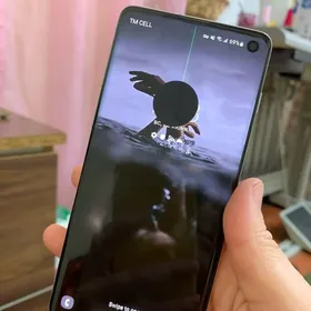 s10
