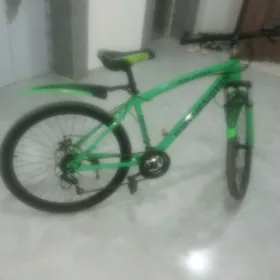 Turkmenistan tigir