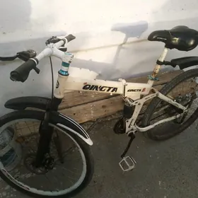 TIGIR KYUNGTA TIGIR