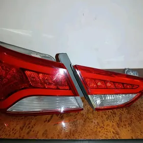 Sonata yzky farasy , cep tarap