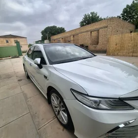 Toyota Camry 2019