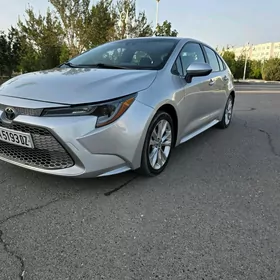 Toyota Corolla 2021
