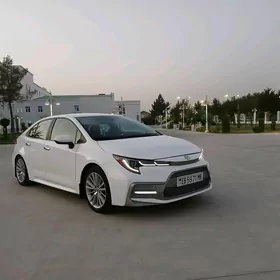 Toyota Corolla 2020
