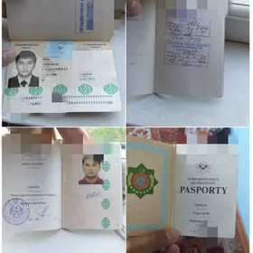 Pasport yitirdim