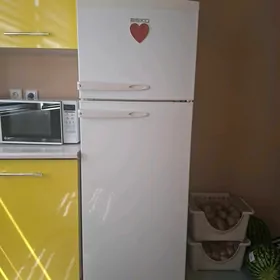 beko holadinik