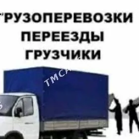 Gazel we Kanter hyzmaty