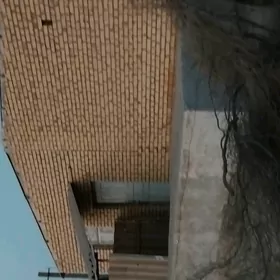 satlyk oy