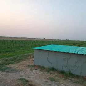 Ferma  + Vremyanka