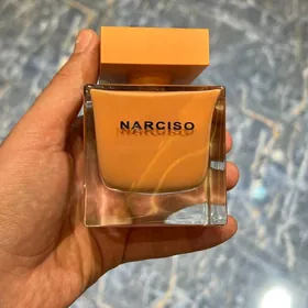 Narciso