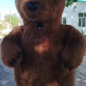 Продаётся Мишка