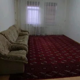 Arenda Jay Mir 3