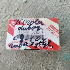 Karolla Natažitel.