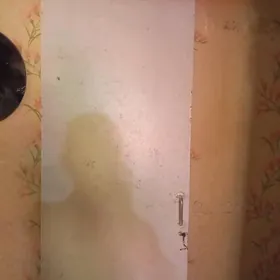 дверь