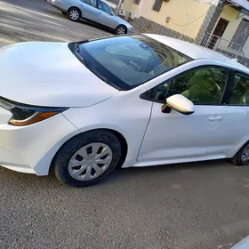 Toyota Corolla 2019