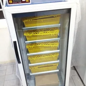 Enkewator