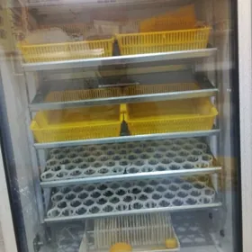 Enkebator
