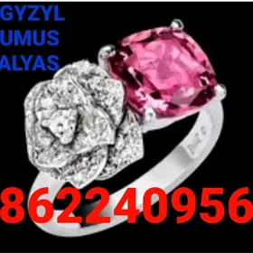 gyzyl alyas