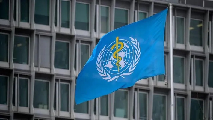 BSGG ýalňyzlygy saglyk we jemgyýet üçin global howp diýip ykrar etdi