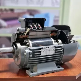 elektromotorlar