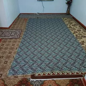 Гунник квартира
