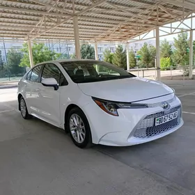 Toyota Corolla 2021