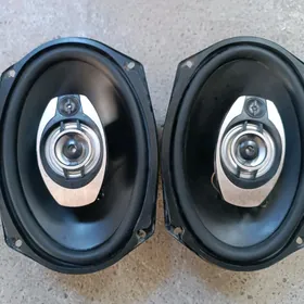 Pioneer kalonkalar