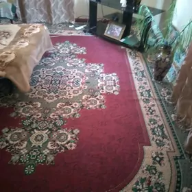 Кавйор