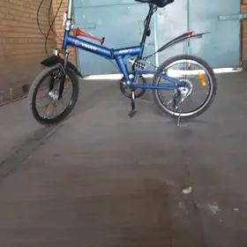 spartivni kama