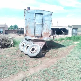 wagon