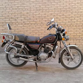 Fekon FK150-8G 2010