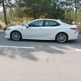 Toyota Camry 2020