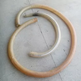 Slanga