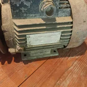Elektrodvigatel/motor